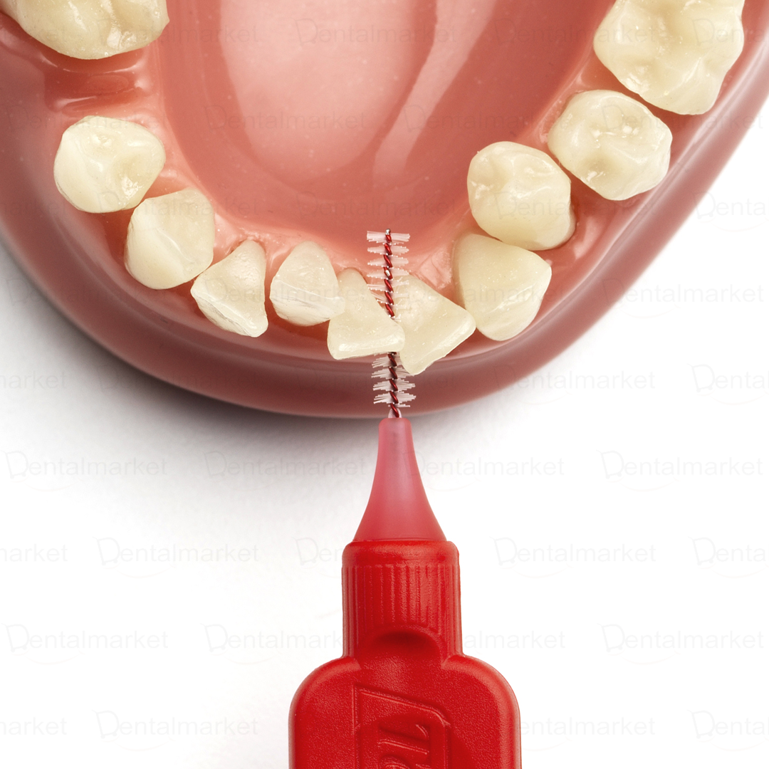Cepillo Interdental