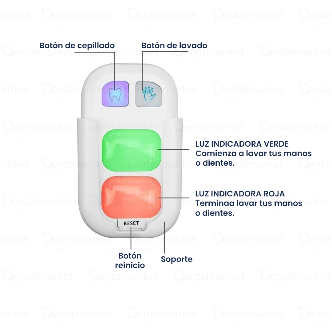 Timer "Wash & Brush"